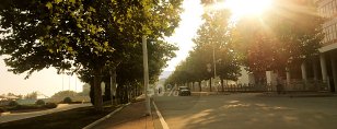 滚球买球的app免费下载免费注册