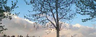 滚球买球的app免费下载
