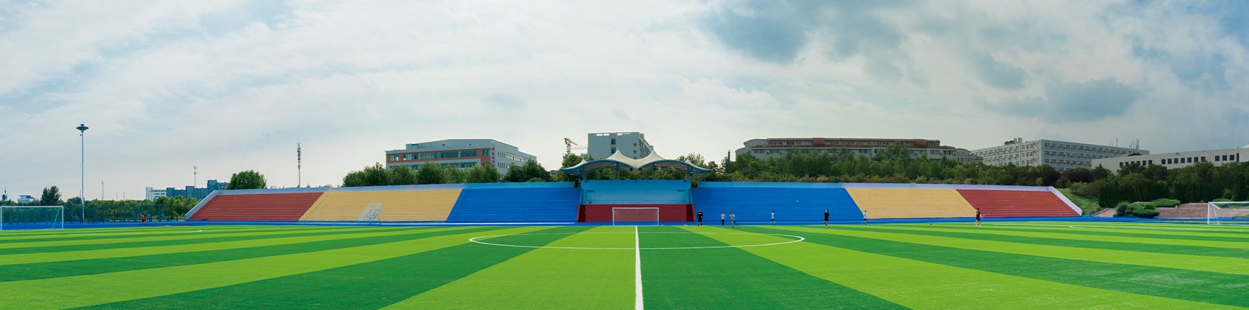 1007517339